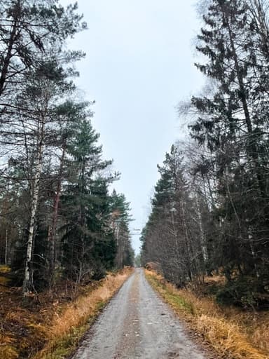 ⛅ Saltsjö-Duvnäs, Stockholms län Afternoon Run